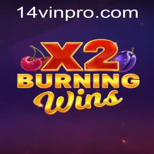 Discovering the Excitement of BurningWinsX2: Unveiling its Charm with 14VIN