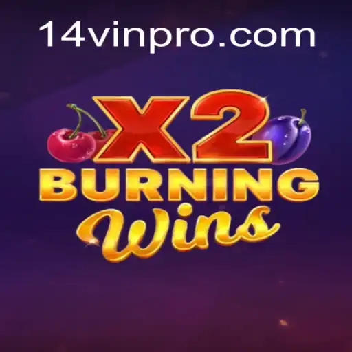 Discovering the Excitement of BurningWinsX2: Unveiling its Charm with 14VIN