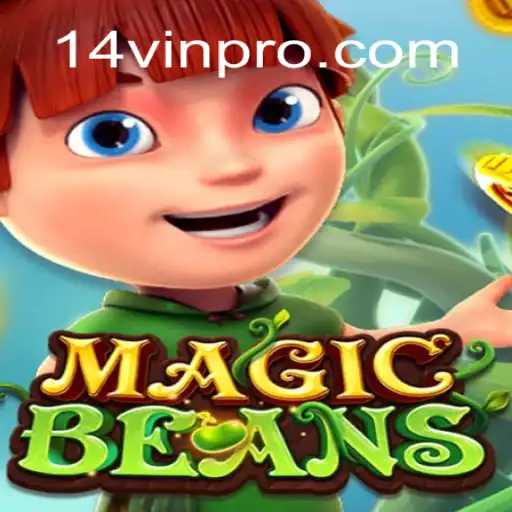 MAGICBEANS: A Fascinating Adventure with 14VIN